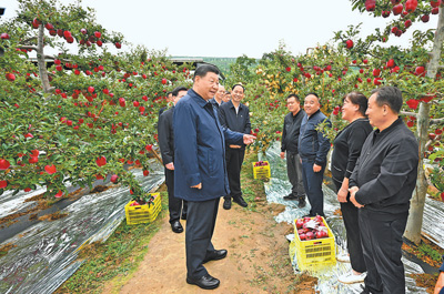 習(xí)近平在甘肅考察時(shí)強(qiáng)調(diào) 深化改革勇于創(chuàng)新苦干實(shí)干富民興隴 奮力譜寫(xiě)中國(guó)式現(xiàn)代化甘肅篇章